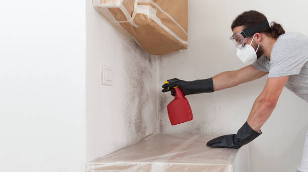 Professional Bathroom Mold Removal technician working in Babylon, NY