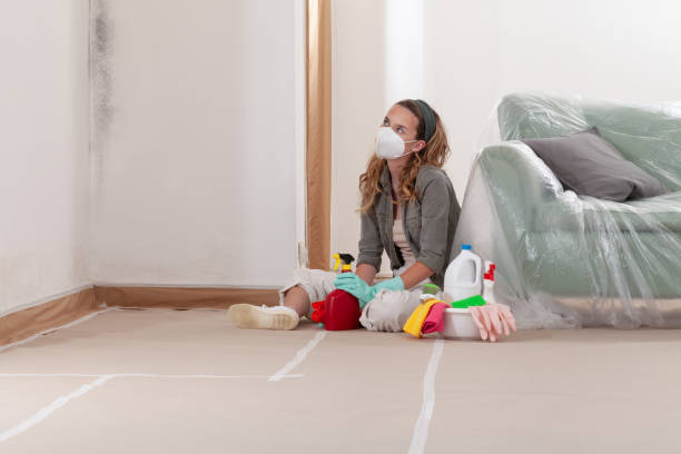 Reliable Bathroom Mold Removal contractor in Babylon, NY by WQB Mold Removal